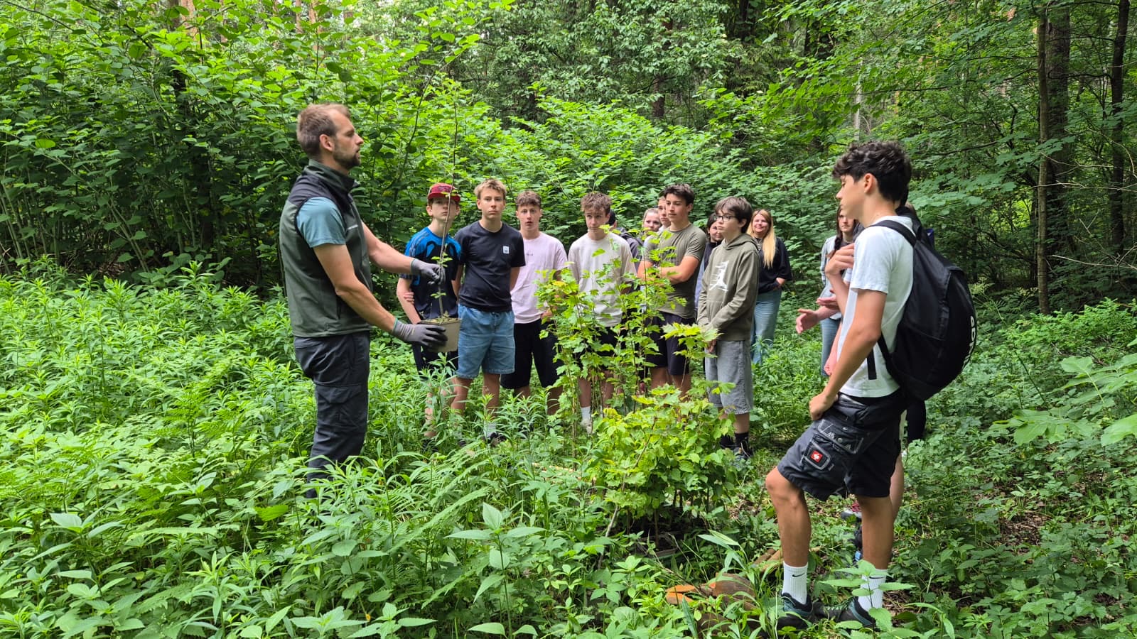 Klimafitter Wald